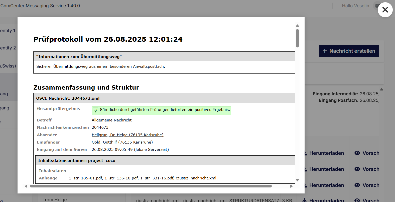 Screenshot of Prüfprotokoll file preview