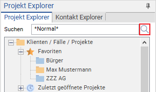 Suchen im Projekt Explorer