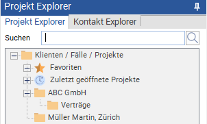 Projekt-Explorer