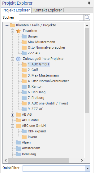 Der Projekt-Explorer