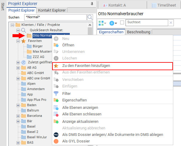 Projekt im Projekt Explorer favorisieren
