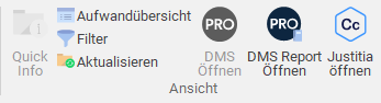 Gruppe "Ansicht" im Menüband "Klienten/ Fälle/ Projekte"