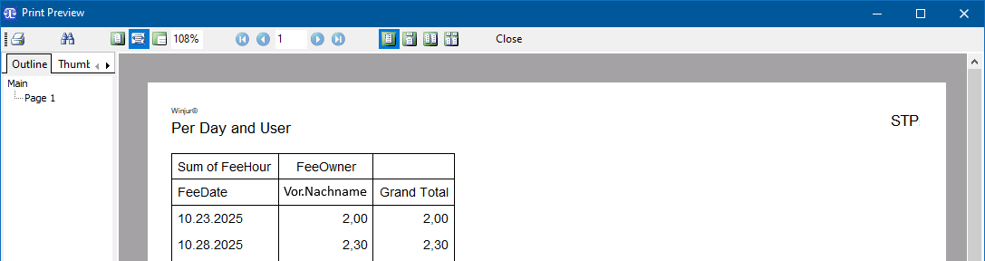 Das Fenster "PrintPreview"