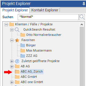 neu erstelltes Projekt im Projekt Explorer