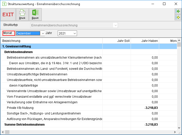 Das Fenster "Strukturauswertung – Einnahmenüberschussrechnung"