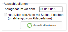 Bereich "Auswahloptionen"