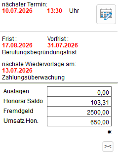 Der Info-Block im Aktenfenster (Ausschnitt)