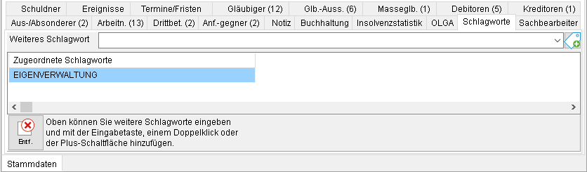 Die Akten-Registerkarte "Schlagworte"