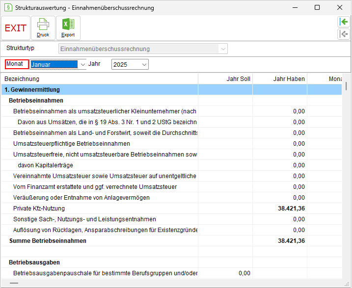 Das Fenster "Strukturauswertung – Einnahmenüberschussrechnung"