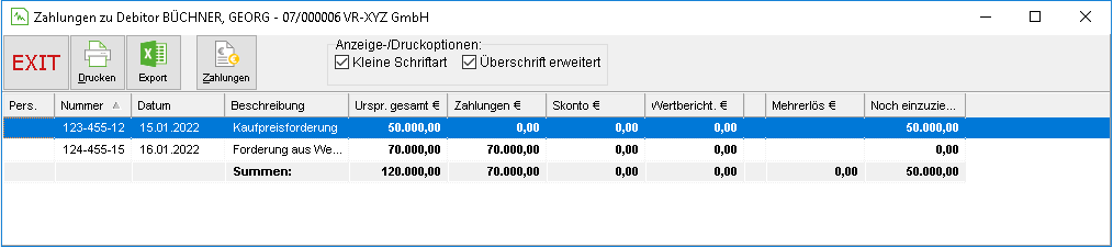 Das Fenster "Zahlungen zu Debitoren"