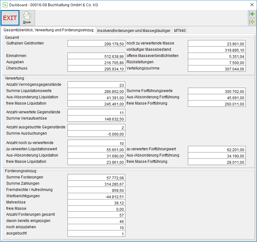 Das Fenster "Dashboard": das Register "Gesamtüberblick, Verwertung und Forderungseinzug"