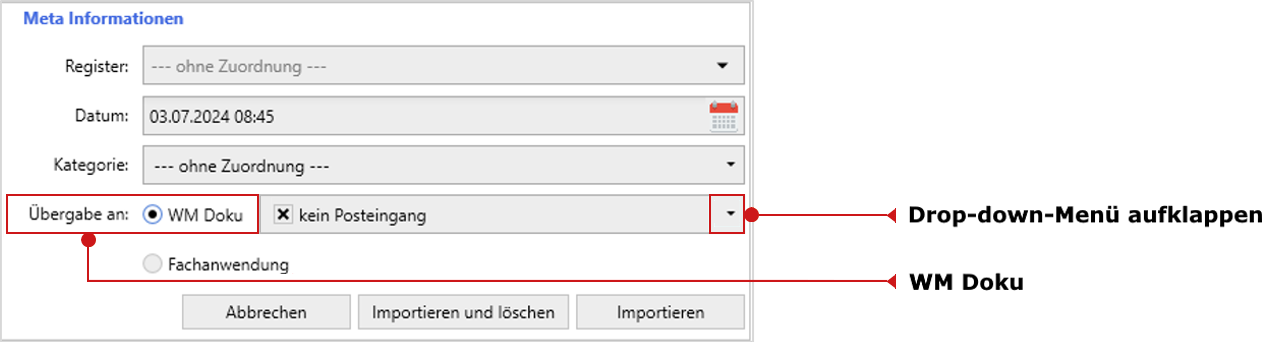 WM Smartmail: das Import-Fenster, Bereich "Meta-Informationen"