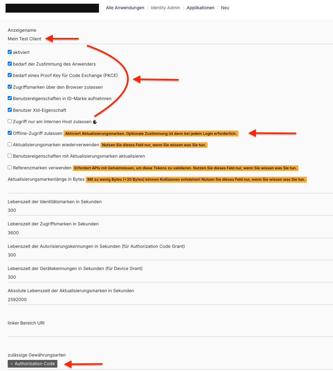 Formular einer neuen Applikation mit Anzeigename, Schalterliste, Laufzeiten und Gewährungsart